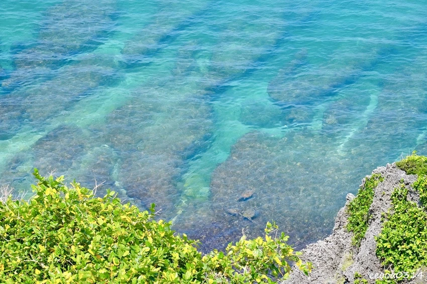 小琉球親子旅遊景點｜望海亭看海龜、美人沙灘浮潛玩水悠閒半日遊