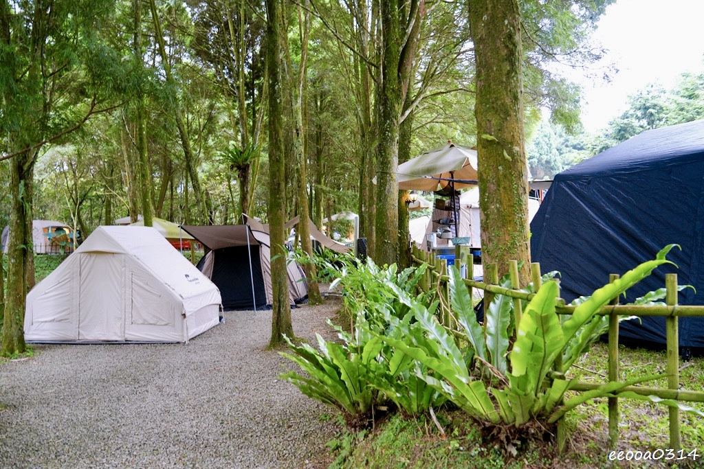 新竹五峰松木青露營區｜森林系家庭露營，萬聖節派對晚餐、親子D