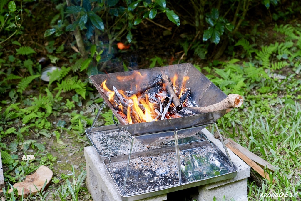 新竹五峰松木青露營區｜森林系家庭露營，萬聖節派對晚餐、親子D