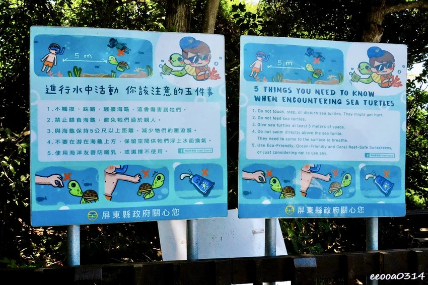 小琉球親子旅遊景點｜望海亭看海龜、美人沙灘浮潛玩水悠閒半日遊