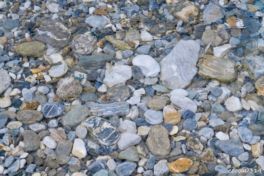 花蓮白鮑溪親水園區｜下車1分鐘就能玩水! 超清澈溪流天然親子