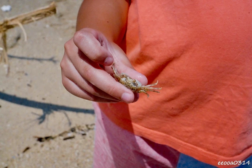 小琉球中澳沙灘｜親子玩水、生態探索、看海放空的療癒秘境!