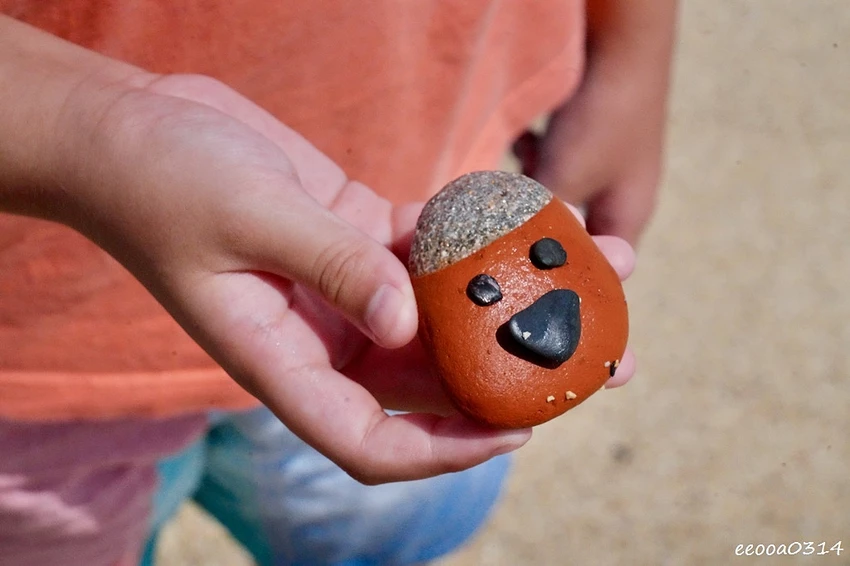 小琉球中澳沙灘｜親子玩水、生態探索、看海放空的療癒秘境!