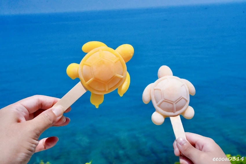 小琉球親子旅遊景點｜望海亭看海龜、美人沙灘浮潛玩水悠閒半日遊