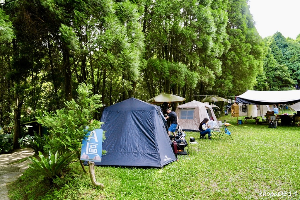 新竹五峰松木青露營區｜森林系家庭露營，萬聖節派對晚餐、親子D