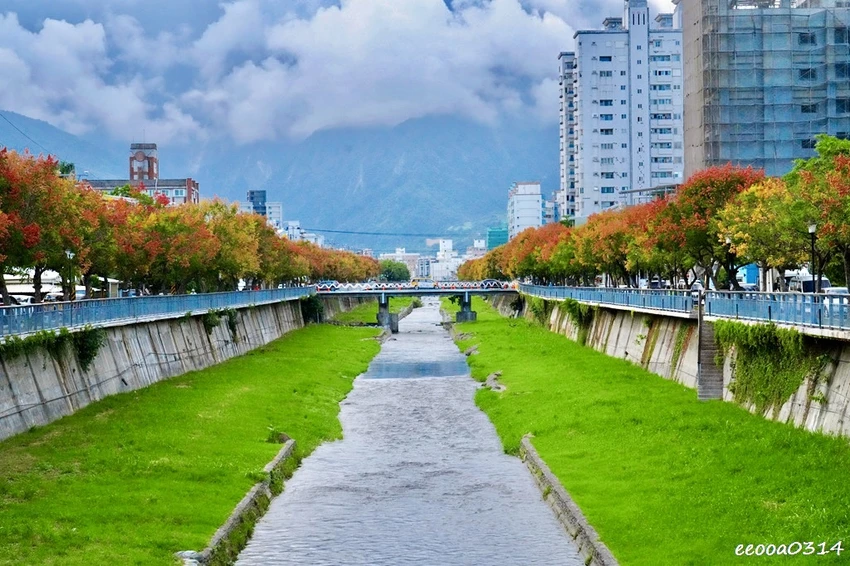 吉安溪台灣欒樹美境｜花蓮季節限定粉橙秋色綻放，美景如畫!