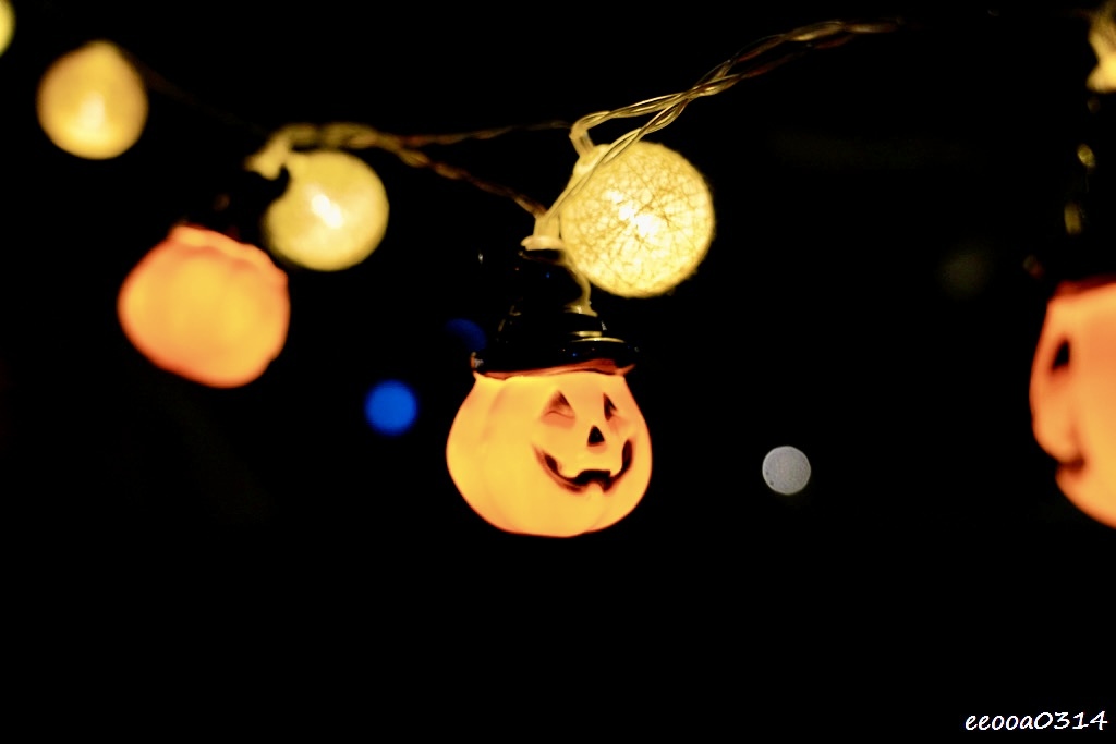 新竹五峰松木青露營區｜森林系家庭露營，萬聖節派對晚餐、親子D