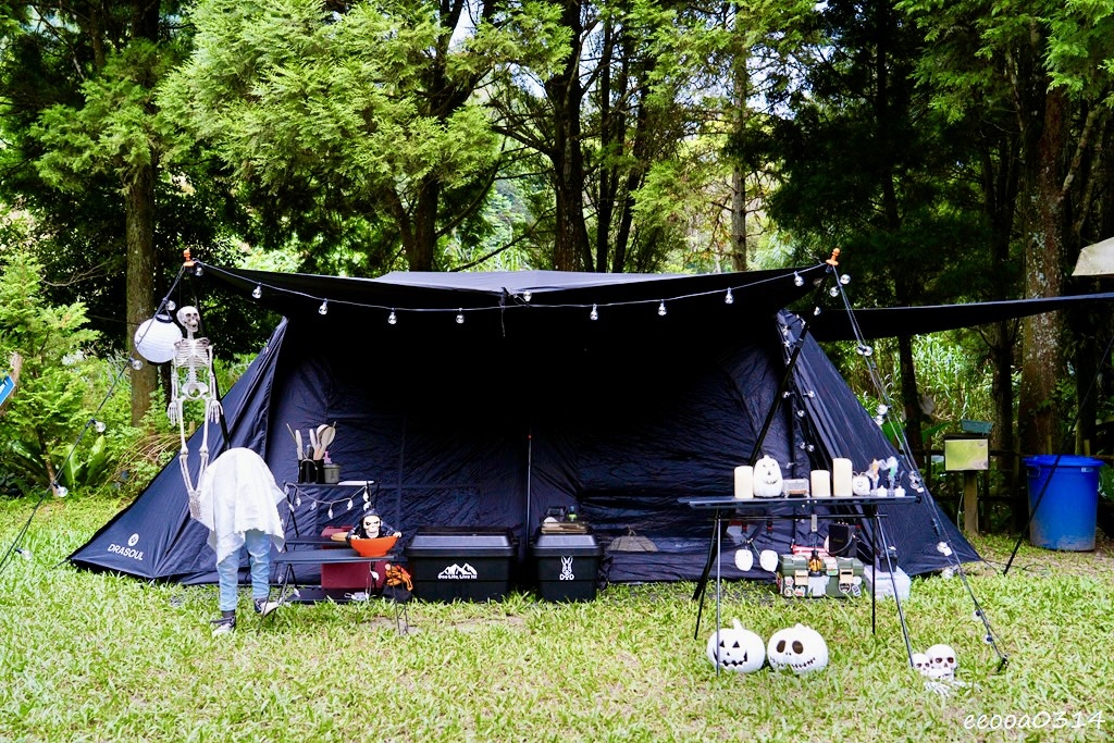 新竹五峰松木青露營區｜森林系家庭露營，萬聖節派對晚餐、親子D