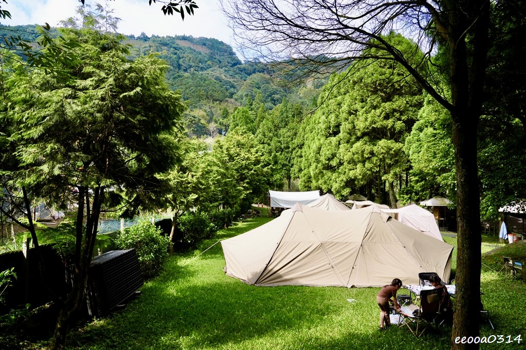 新竹五峰松木青露營區｜森林系家庭露營，萬聖節派對晚餐、親子D