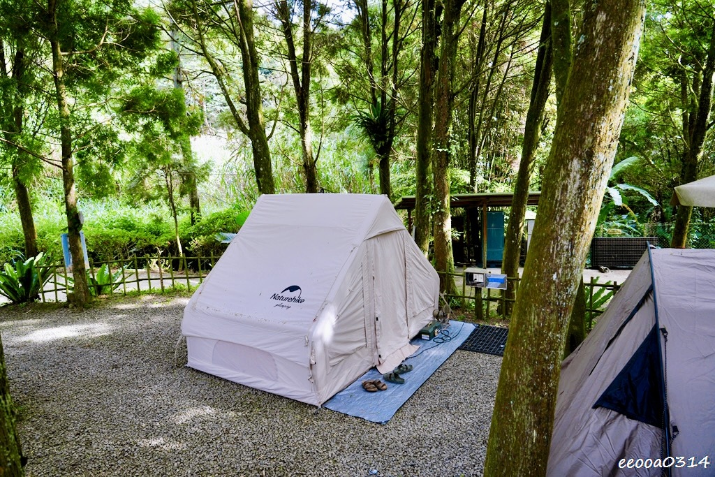 新竹五峰松木青露營區｜森林系家庭露營，萬聖節派對晚餐、親子D