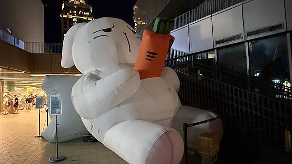 IMG_5041 (1).jpg IMG_5041 (1).jpg