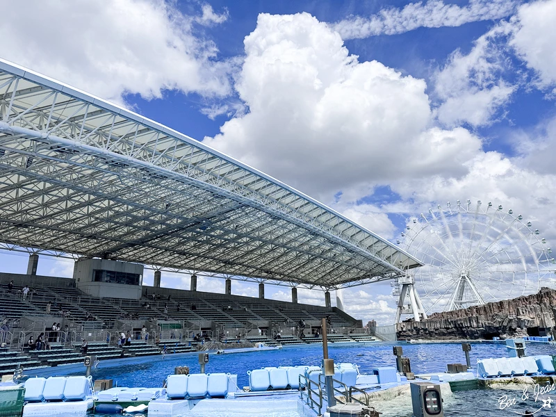 名古屋水族館必看！虎鯨海豚小白鯨表演秀，一日暢遊海洋博物館。