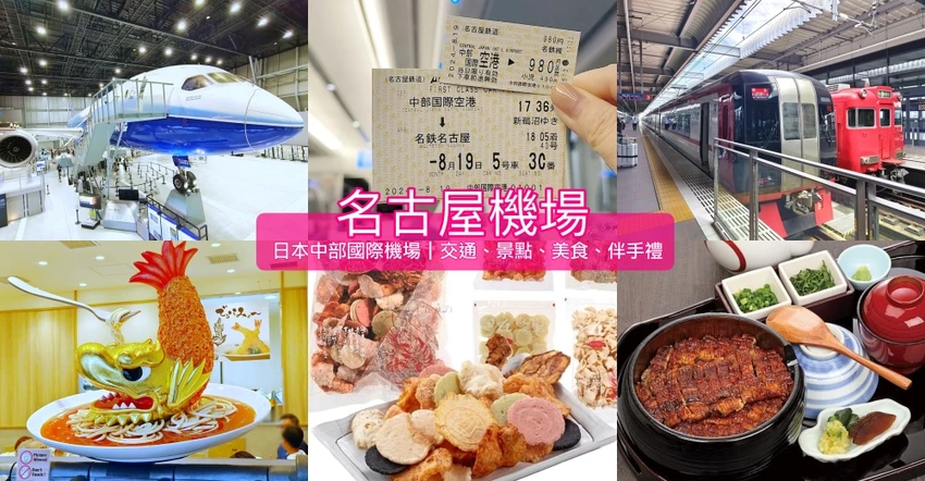 名古屋水族館必看！虎鯨海豚小白鯨表演秀，一日暢遊海洋博物館。