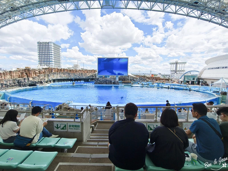 名古屋水族館必看！虎鯨海豚小白鯨表演秀，一日暢遊海洋博物館。
