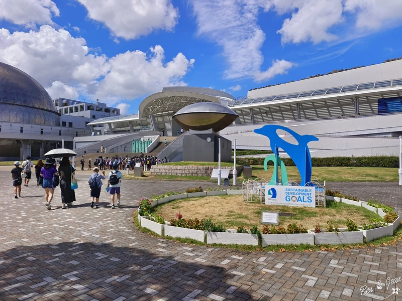 名古屋水族館必看！虎鯨海豚小白鯨表演秀，一日暢遊海洋博物館。