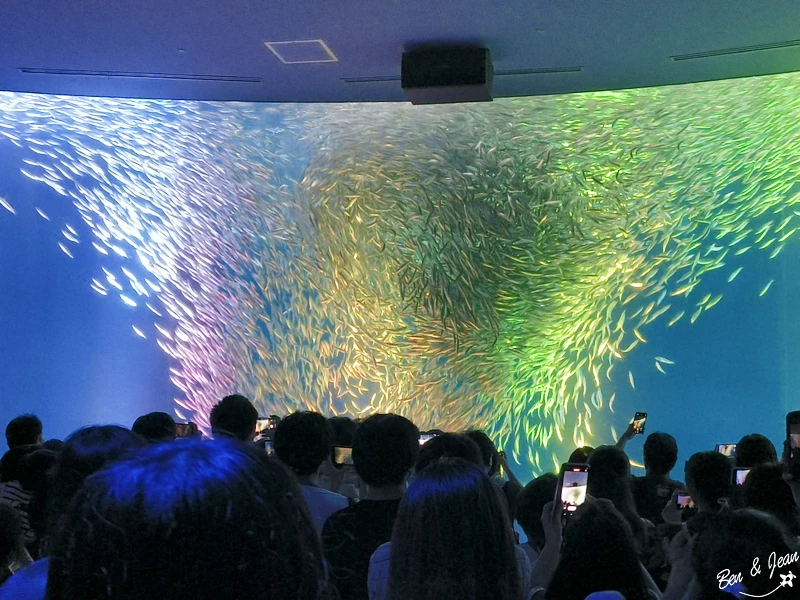 名古屋水族館必看！虎鯨海豚小白鯨表演秀，一日暢遊海洋博物館。