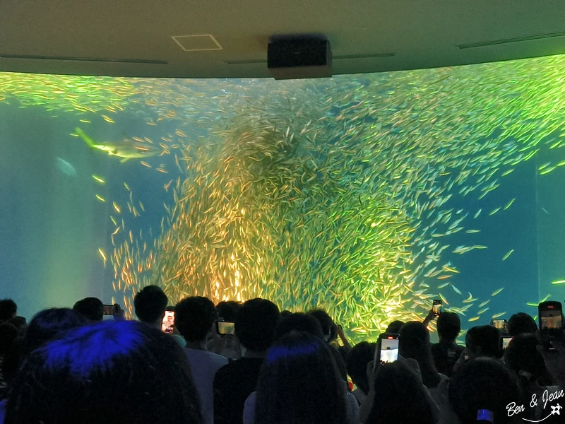 名古屋水族館必看！虎鯨海豚小白鯨表演秀，一日暢遊海洋博物館。