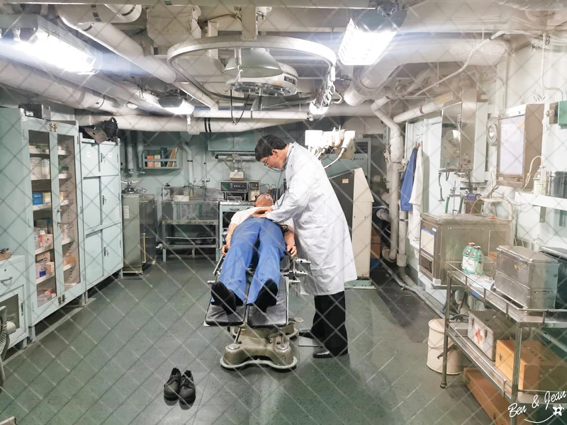 名古屋水族館必看！虎鯨海豚小白鯨表演秀，一日暢遊海洋博物館。