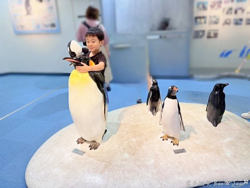 名古屋水族館必看！虎鯨海豚小白鯨表演秀，一日暢遊海洋博物館。