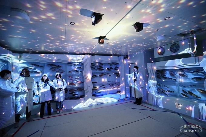 名古屋水族館必看！虎鯨海豚小白鯨表演秀，一日暢遊海洋博物館。