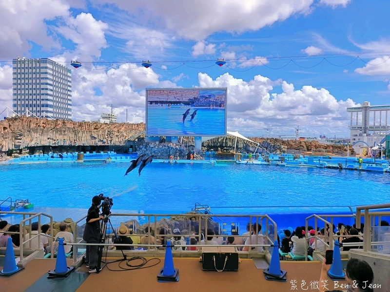 名古屋水族館必看！虎鯨海豚小白鯨表演秀，一日暢遊海洋博物館。