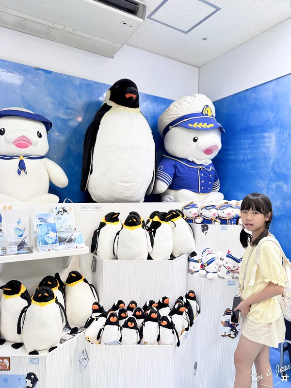 名古屋水族館必看！虎鯨海豚小白鯨表演秀，一日暢遊海洋博物館。