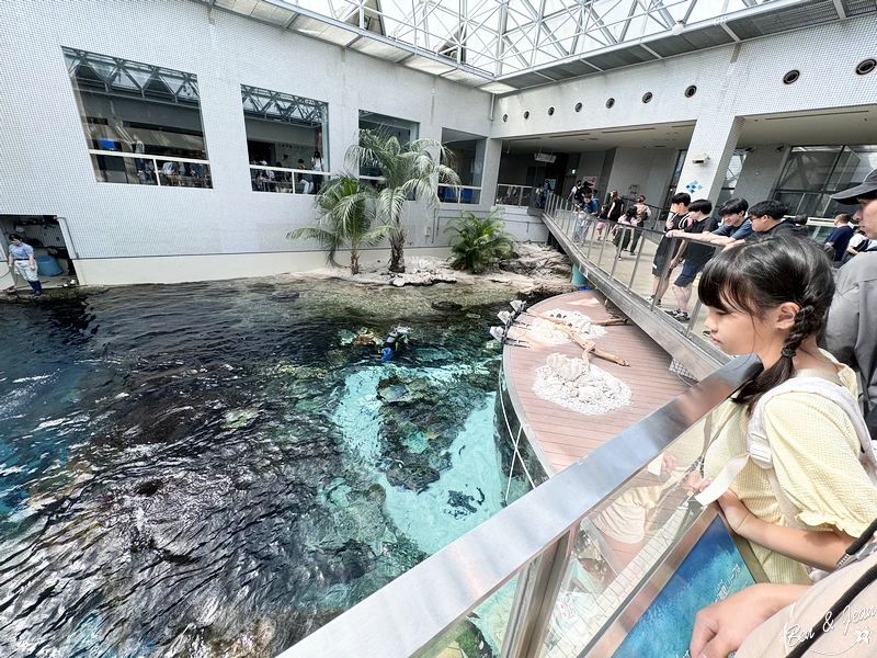 名古屋水族館必看！虎鯨海豚小白鯨表演秀，一日暢遊海洋博物館。
