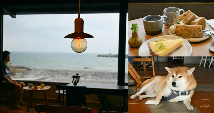 富基漁港附近特色咖啡廳！鵵 Rabbird預約制手沖咖啡，必點酸溜溜檸檬塔。