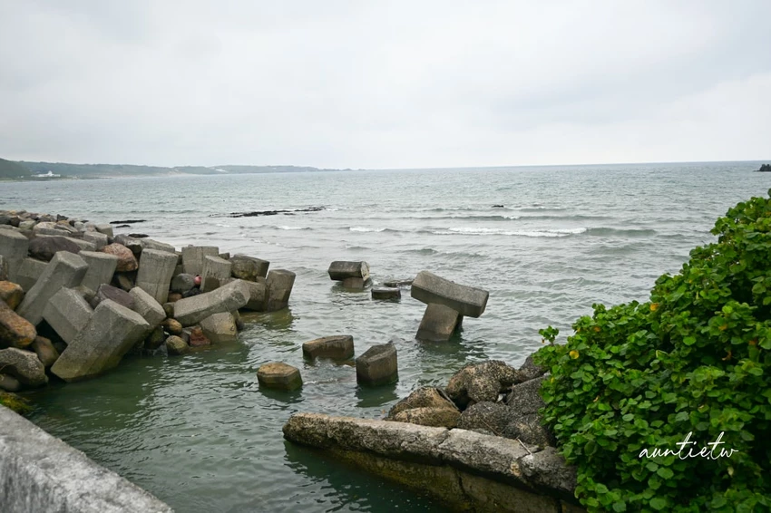 富基漁港附近特色咖啡廳！鵵 Rabbird預約制手沖咖啡，必點酸溜溜檸檬塔。