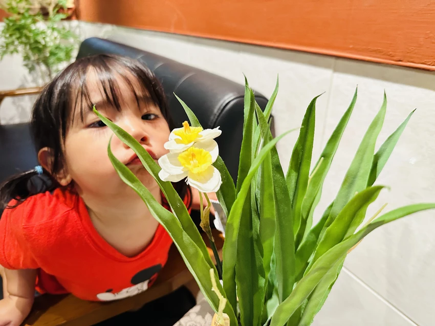 【行滿旅宿】嘉義竹崎親子包棟首選｜懷舊古玩、KTV嗨唱、煙火