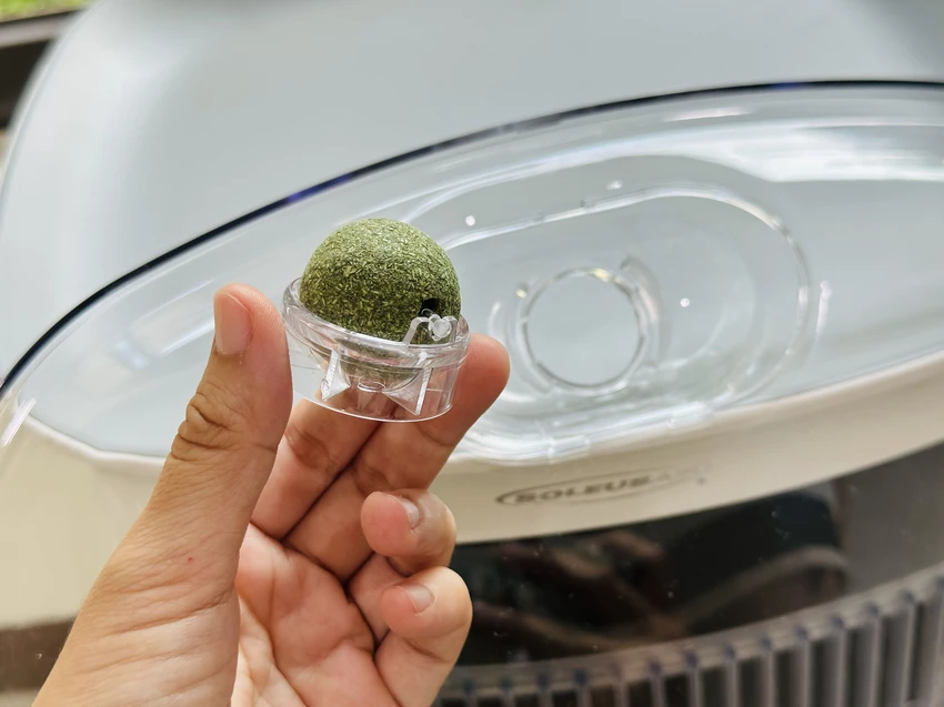 SoleusAir 吸毛大師宅配開箱｜長毛臘腸家必備的毛髮救