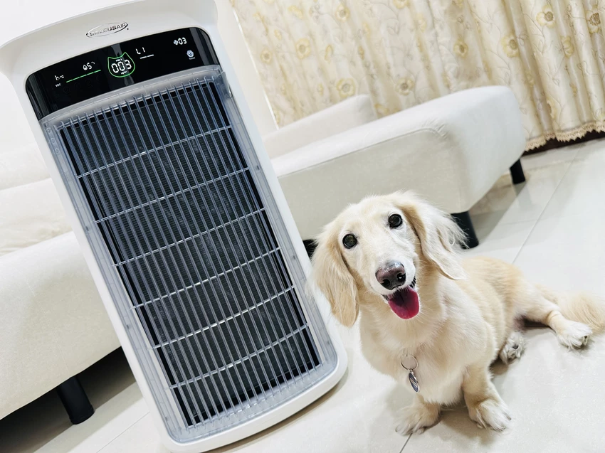 SoleusAir 吸毛大師宅配開箱｜長毛臘腸家必備的毛髮救