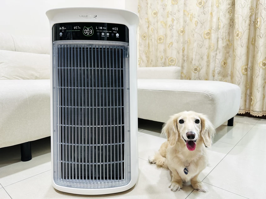 SoleusAir 吸毛大師宅配開箱｜長毛臘腸家必備的毛髮救