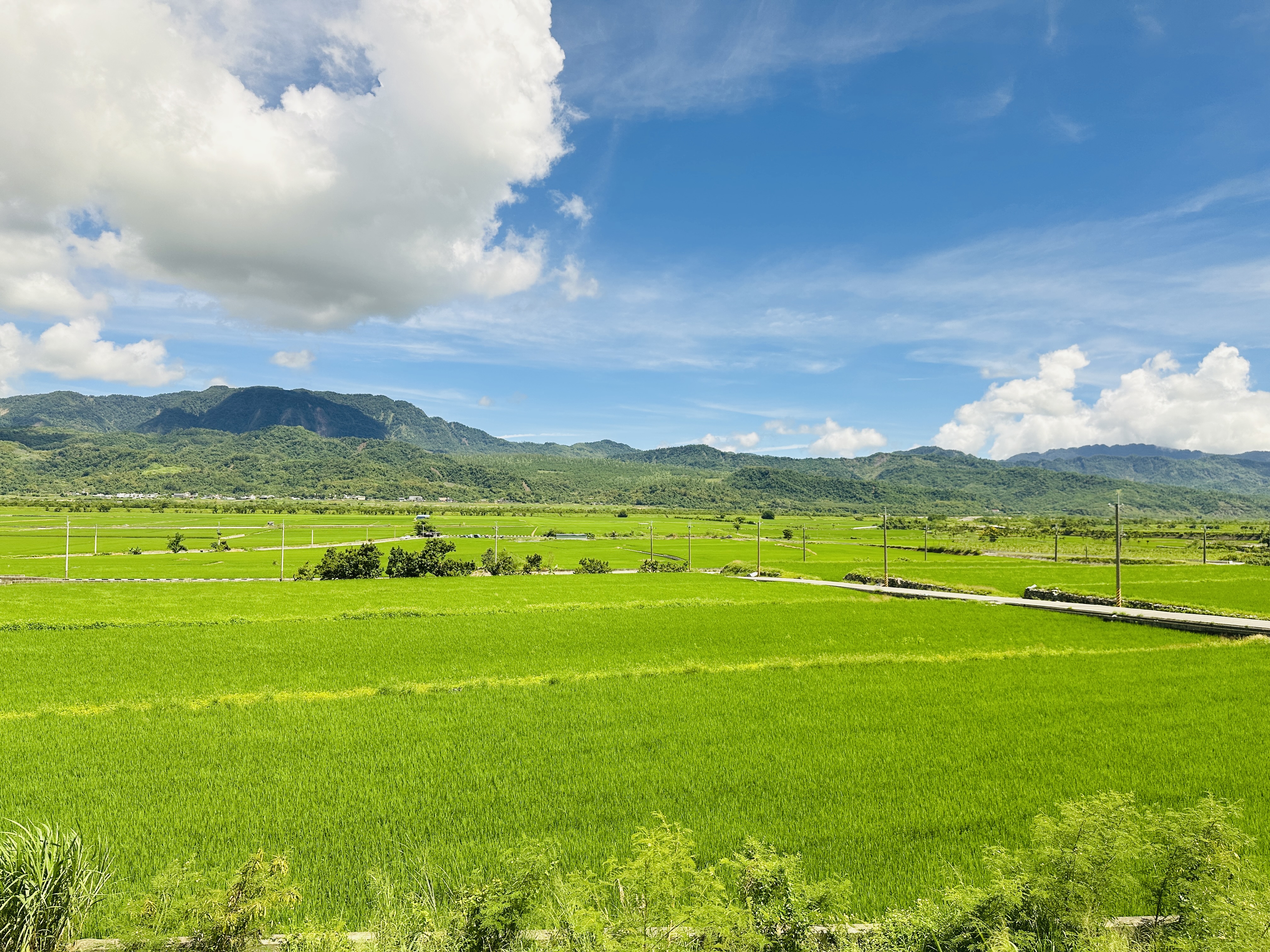 【環島之星萌旅號】三麗鷗主題列車一日環島｜親子同樂、拍照打卡