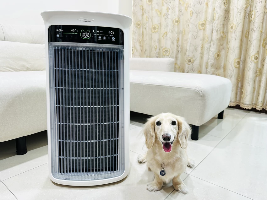 SoleusAir 吸毛大師宅配開箱｜長毛臘腸家必備的毛髮救