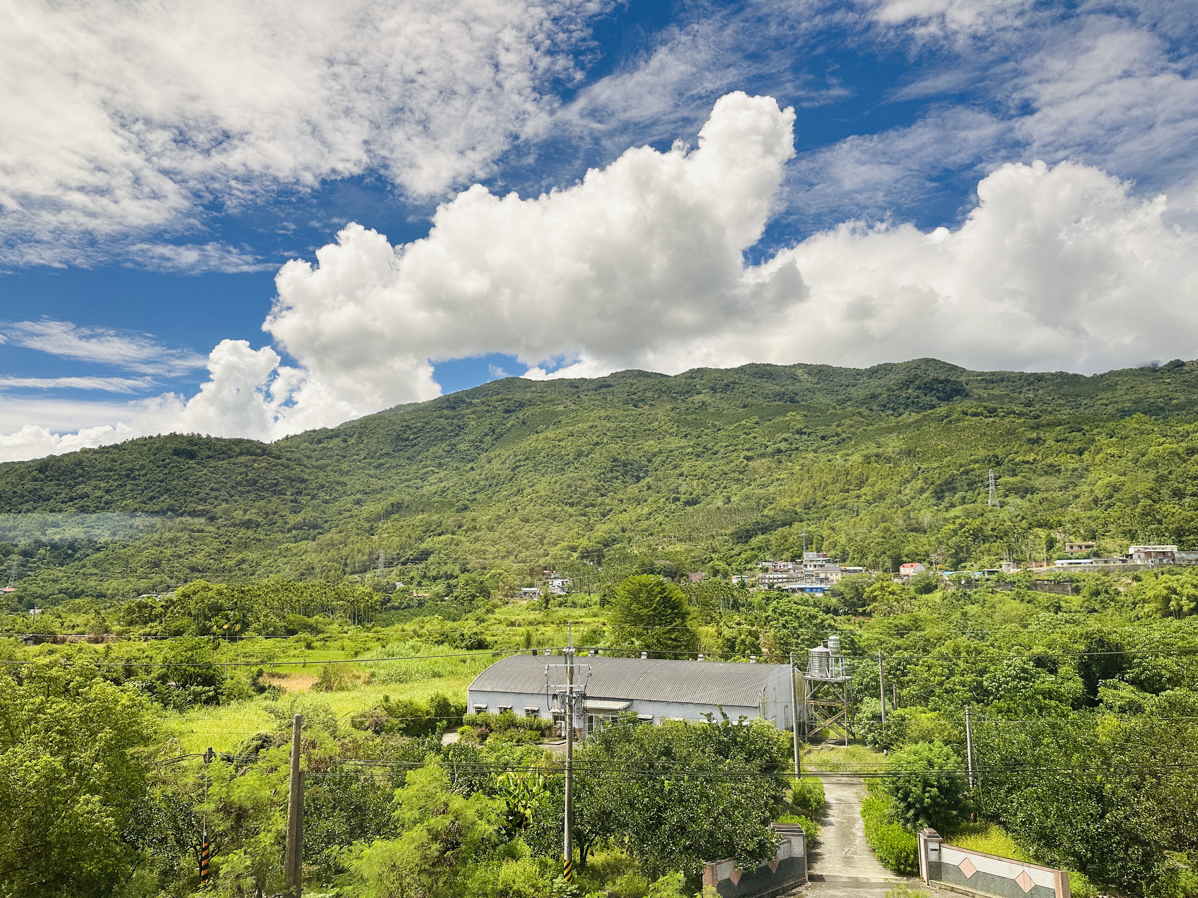 【環島之星萌旅號】三麗鷗主題列車一日環島｜親子同樂、拍照打卡