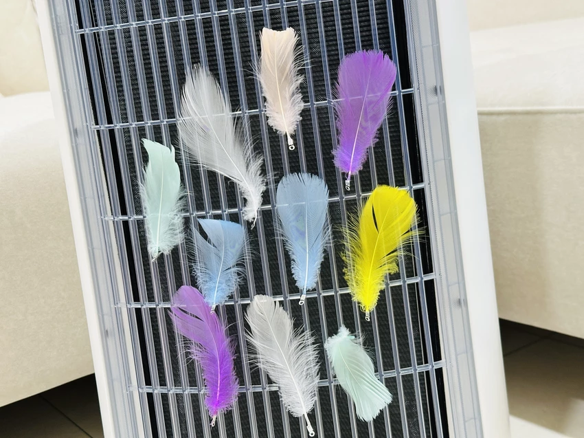 SoleusAir 吸毛大師宅配開箱｜長毛臘腸家必備的毛髮救