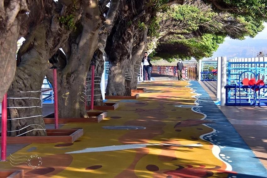 【麗水漁港】海堤步道 【麗水漁港】海堤步道