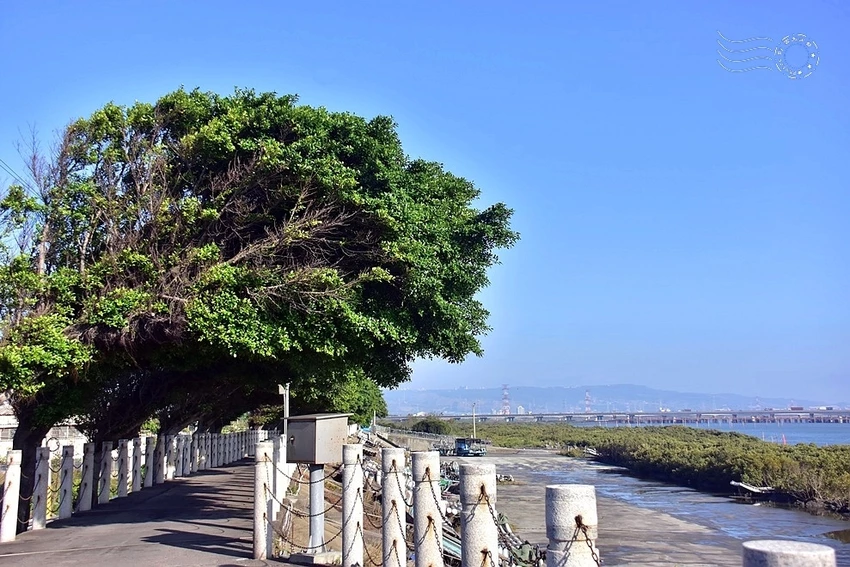 【麗水漁港】海堤步道 【麗水漁港】海堤步道