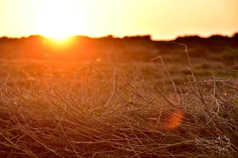 墾丁龍磐公園 墾丁龍磐公園