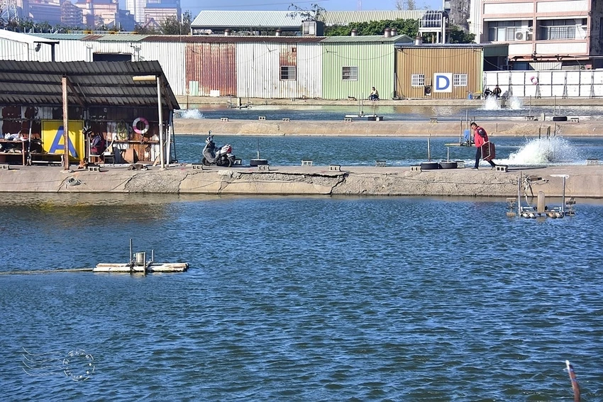 【麗水漁港】魚塭 【麗水漁港】魚塭