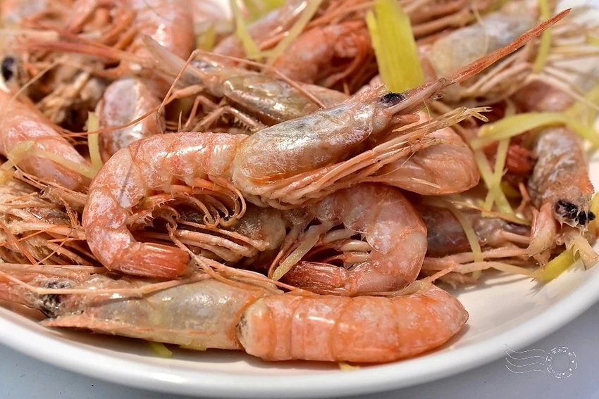 基隆必訪！天聖525希臘風海鮮酒食，阿根納造船廠的工業遺跡浪漫。