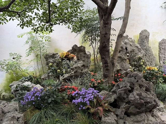 2025蟹逅故事江南D2. 10/19㊐📸蘇州博物館西館➯📸