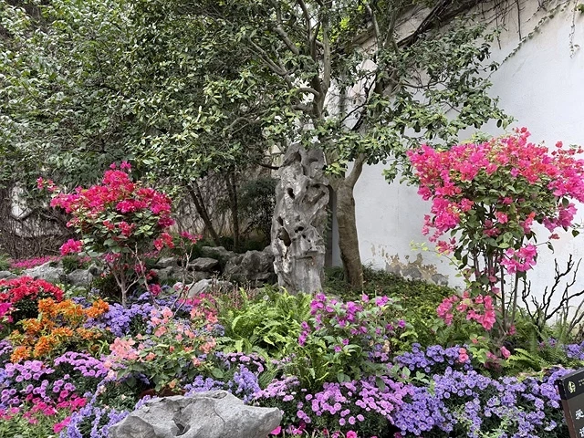 2025蟹逅故事江南D2. 10/19㊐📸蘇州博物館西館➯📸