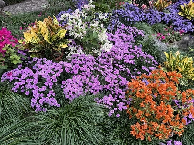 2025蟹逅故事江南D2. 10/19㊐📸蘇州博物館西館➯📸