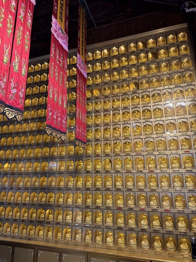 2025蟹逅故事江南D2. 10/19㊐📸蘇州博物館西館➯📸