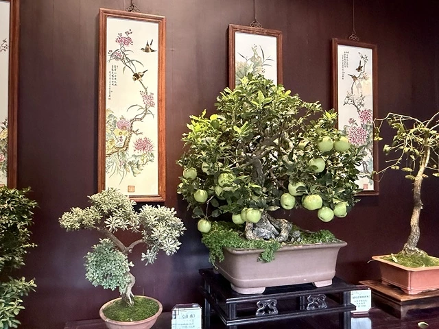 2025蟹逅故事江南D2. 10/19㊐📸蘇州博物館西館➯📸