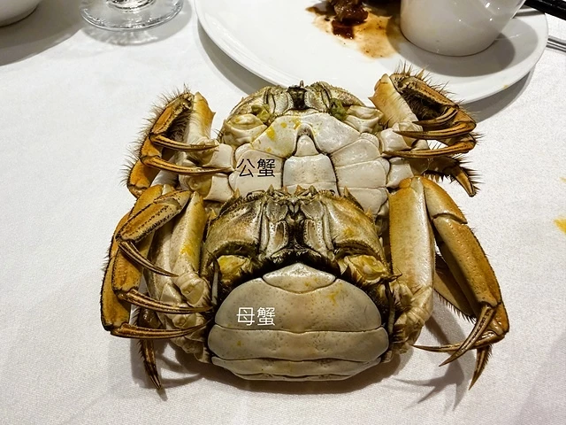 2025蟹逅故事江南D1. 10/18㊅✈️桃園機場➯✈️上