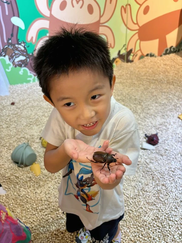 台北親子餐廳推薦！士林甲蟲秘境吃甲蟲鬆餅，免費甲蟲導覽近距離摸甲蟲。
