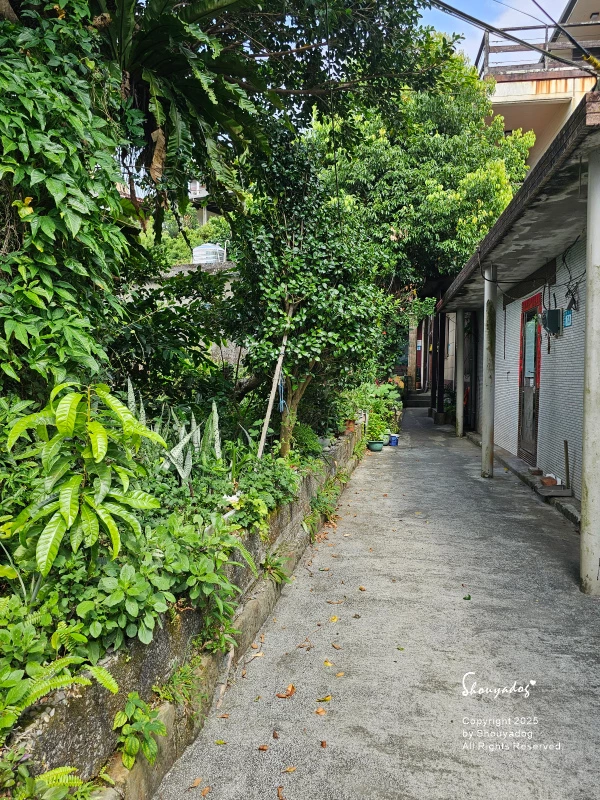 九份神隱之森 森林系秘境民宿 景觀下午茶 九份三天兩夜輕旅行 九份神隱之森 森林系秘境民宿 景觀下午茶 九份三天兩夜輕旅行